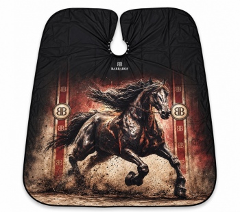 B-CAPE-STALLION